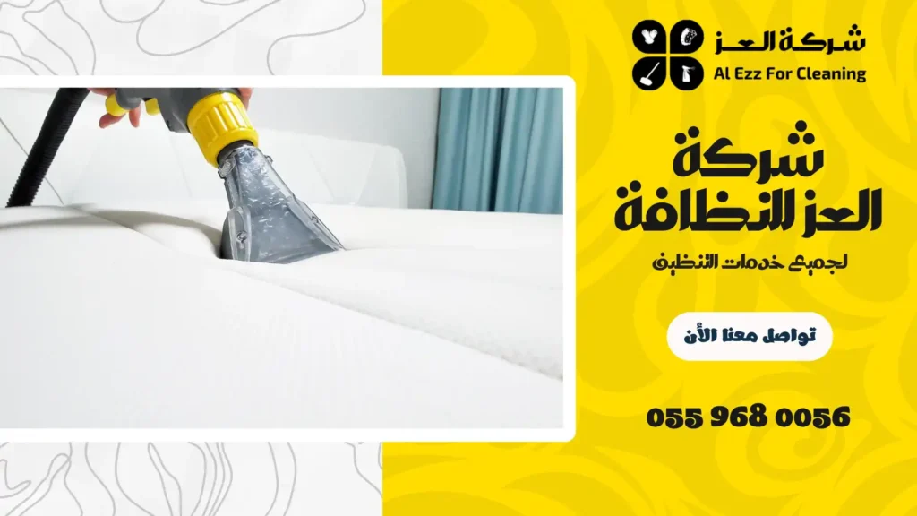 ارخص شركة تنظيف في الساد