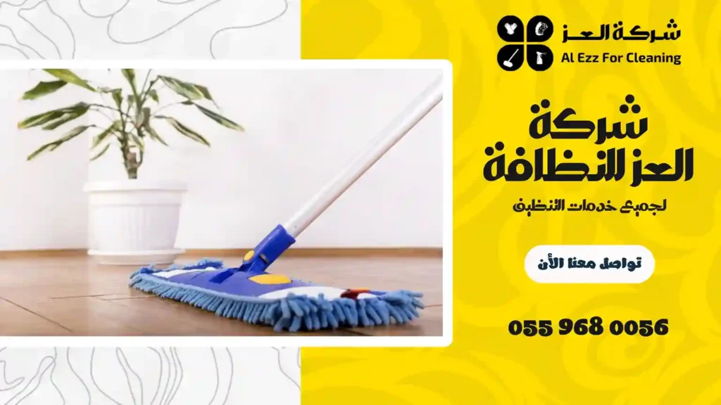 شركة تنظيف فلل في الباهية