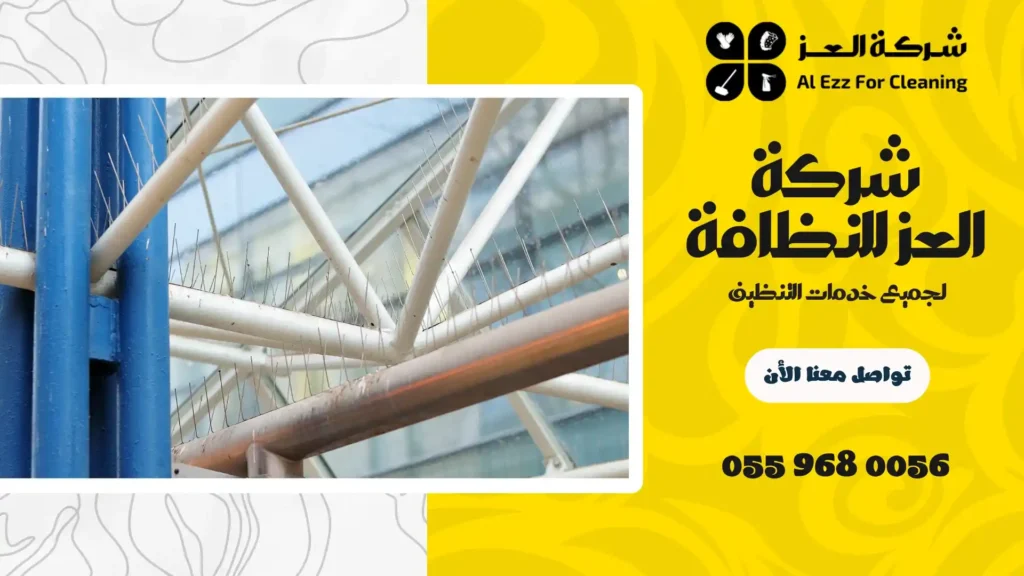 افضل شركة مكافحة الحمام في دبي