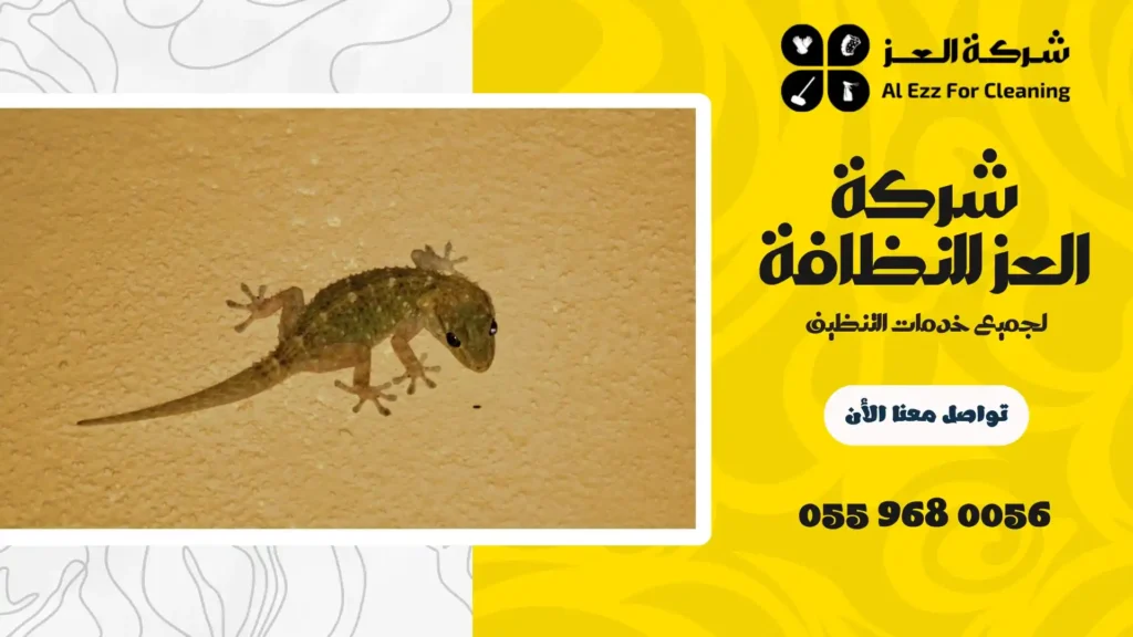افضل شركة مكافحة الوزغ في دبي