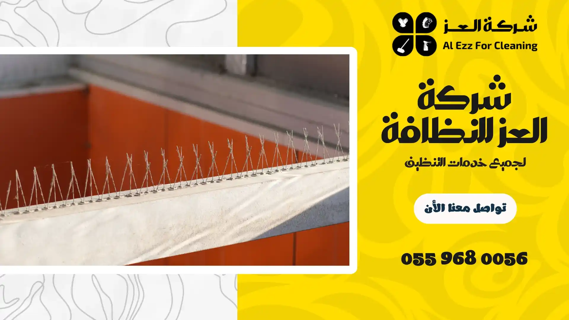 شركة مكافحة الحمام في دبي