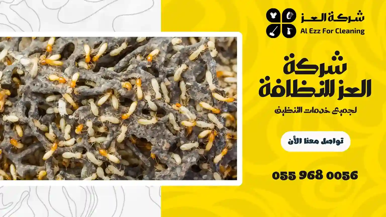 شركة-مكافحة-الرمة-في-دبي