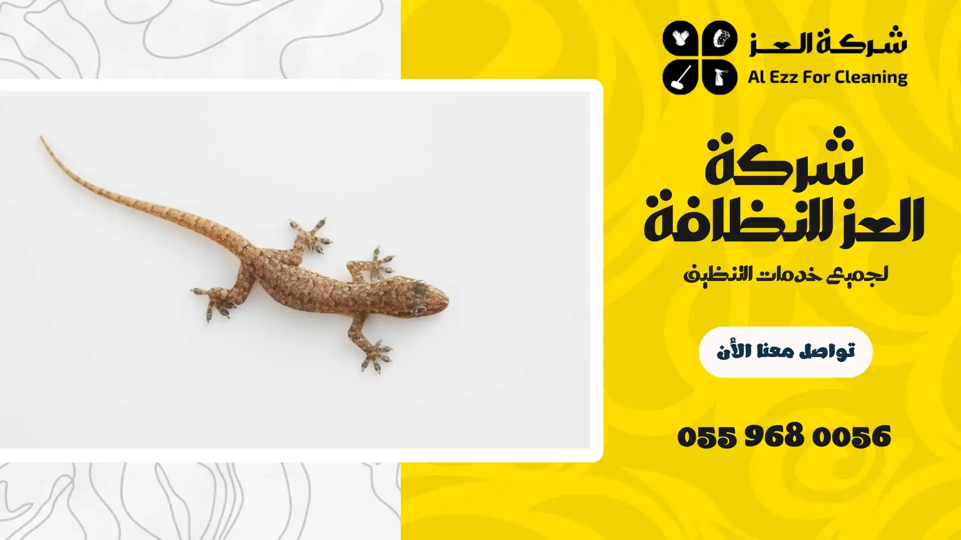 شركة مكافحة الطبطار في دبي