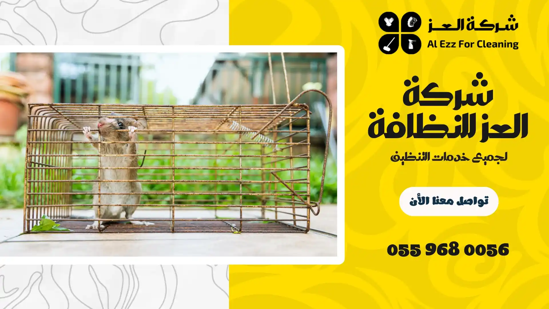 شركة مكافحة فئران في دبي