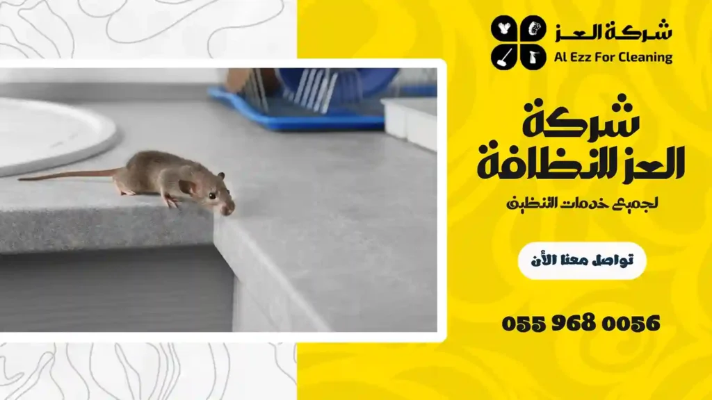 ارخص شركة مكافحة الفئران في الشارقة