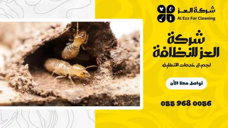 شركة مكافحة الرمة في الشارقة