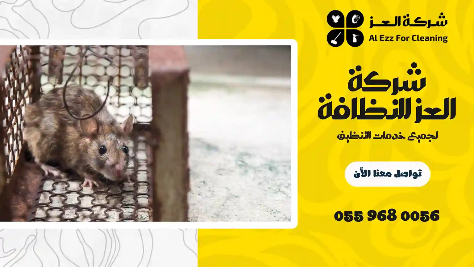 شركة مكافحة الفئران في الشارقة