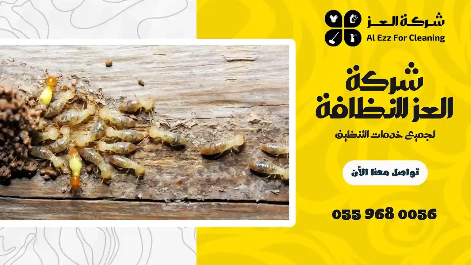 شركة مكافحة النمل الابيض بالشارقة