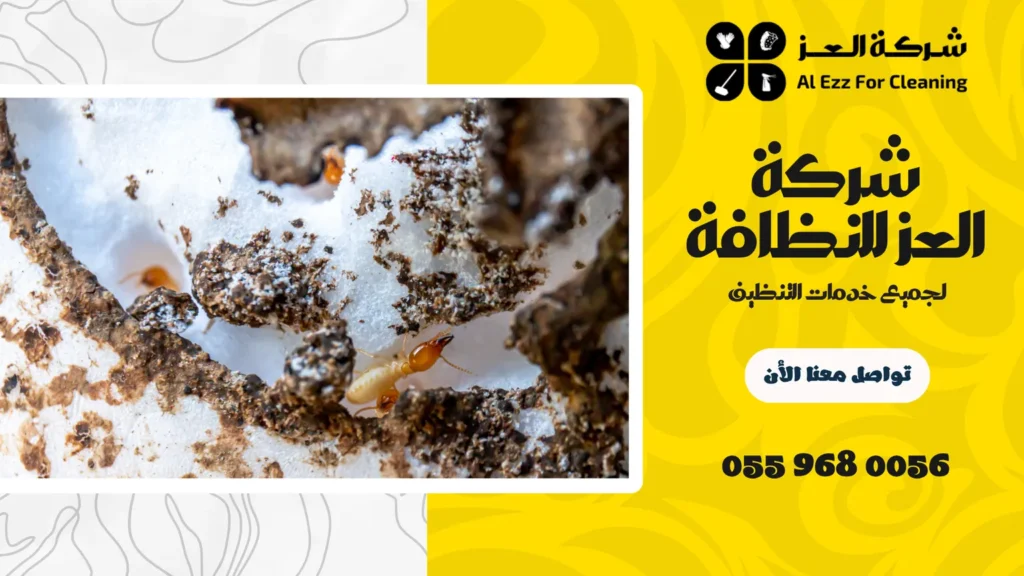ارخص شركة مكافحة الرمة في العين