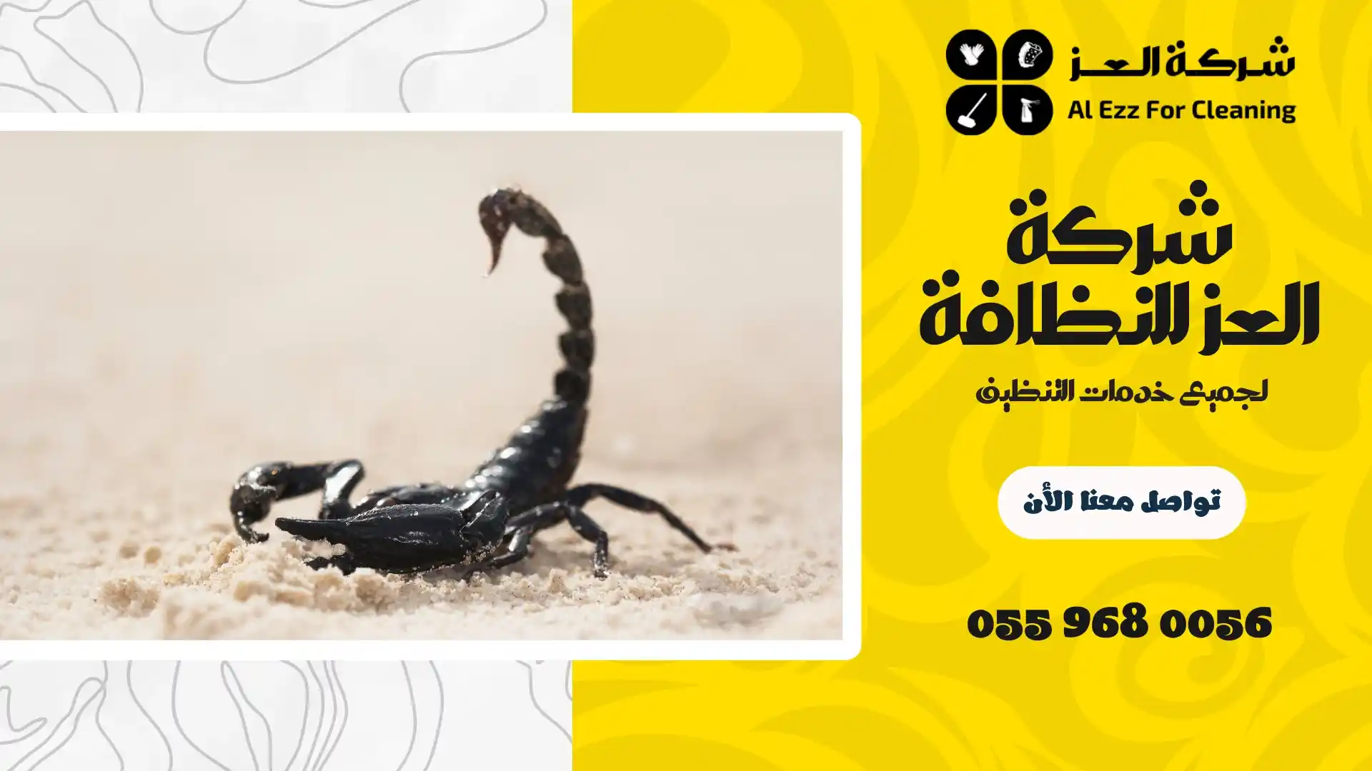 ارخص شركة مكافحة حشرات في أبوظبي