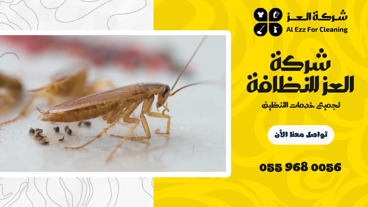 ارخص شركة مكافحة صراصير في عجمان