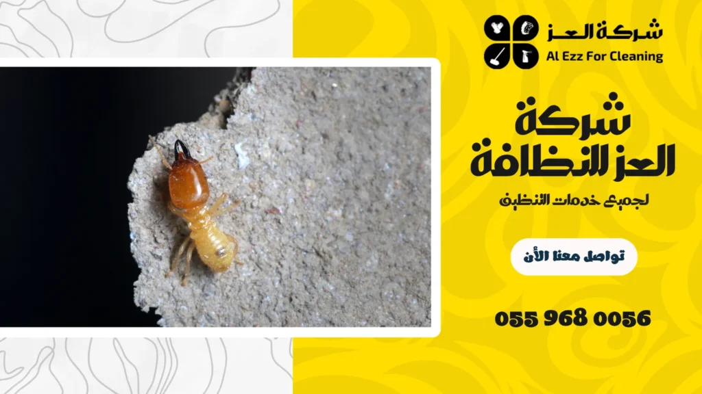 افضل شركة مكافحة الرمة في العين