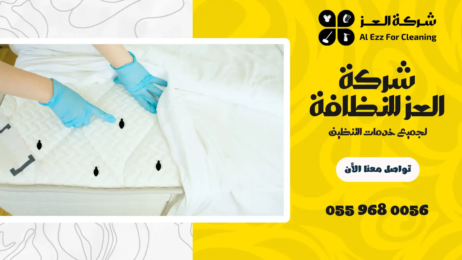 افضل شركة مكافحة بق الفراش في الشارقة