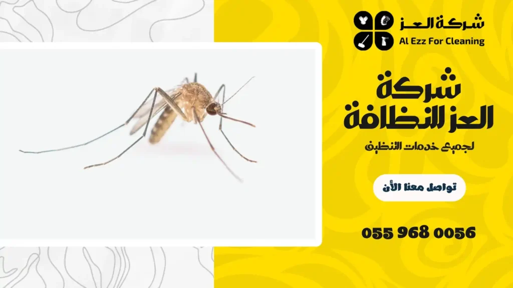 افضل شركة مكافحة حشرات في أبوظبي