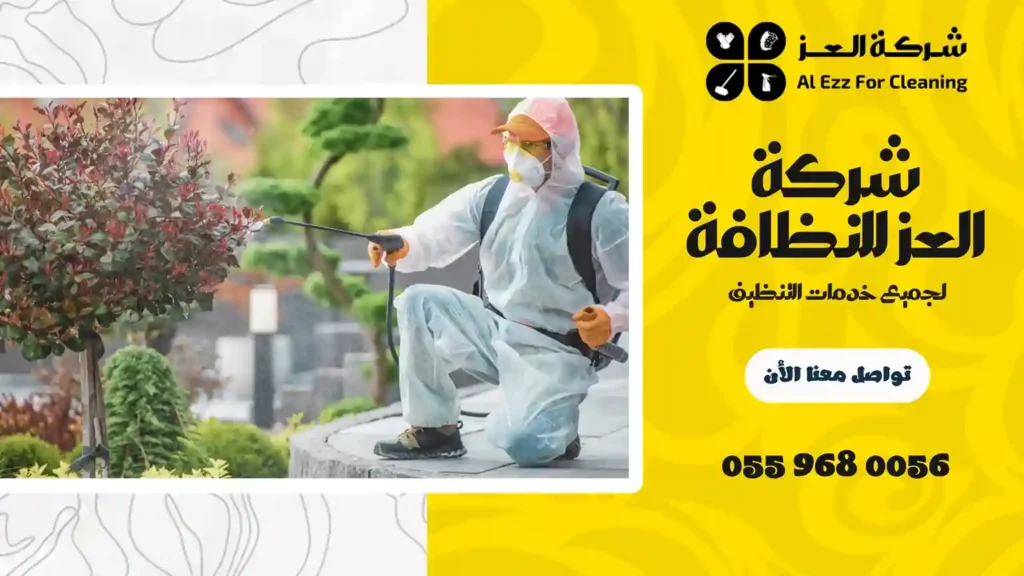 شركة رش حشرات في ابوظبي