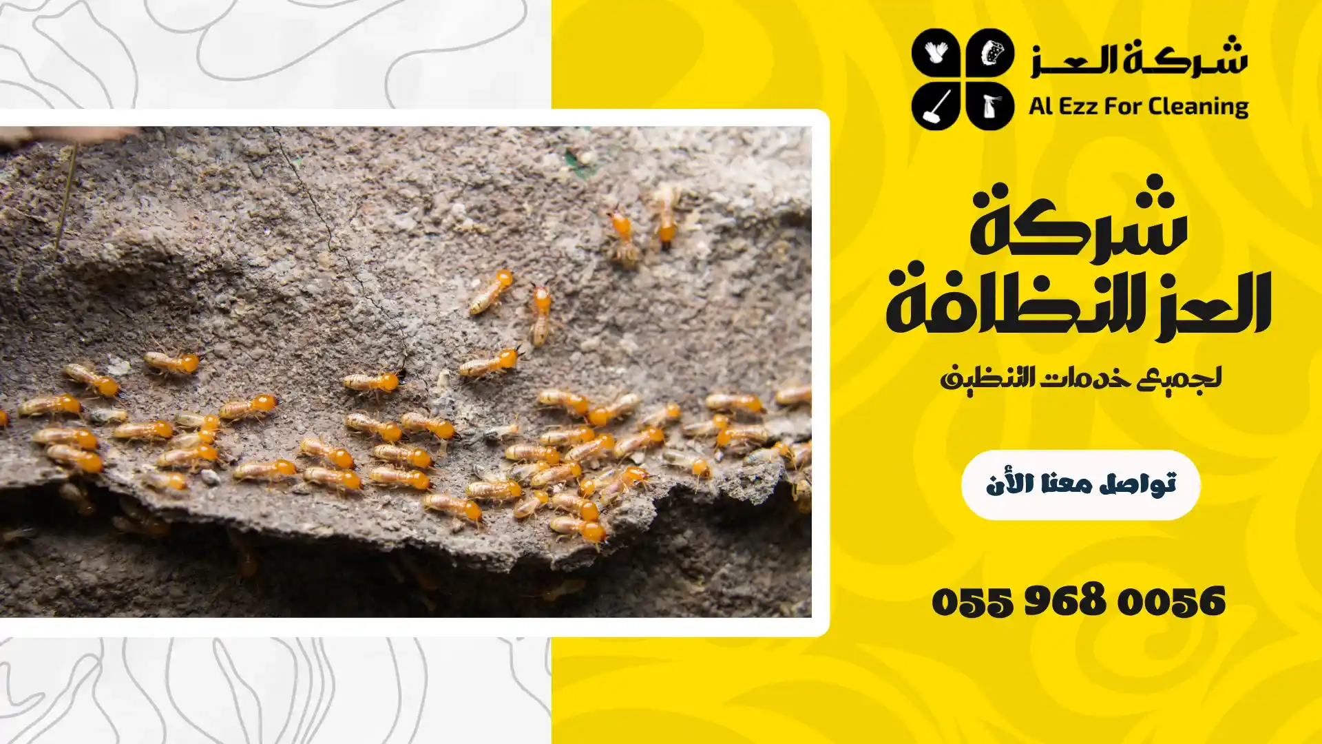 شركة مكافحة الرمة في الشارقة