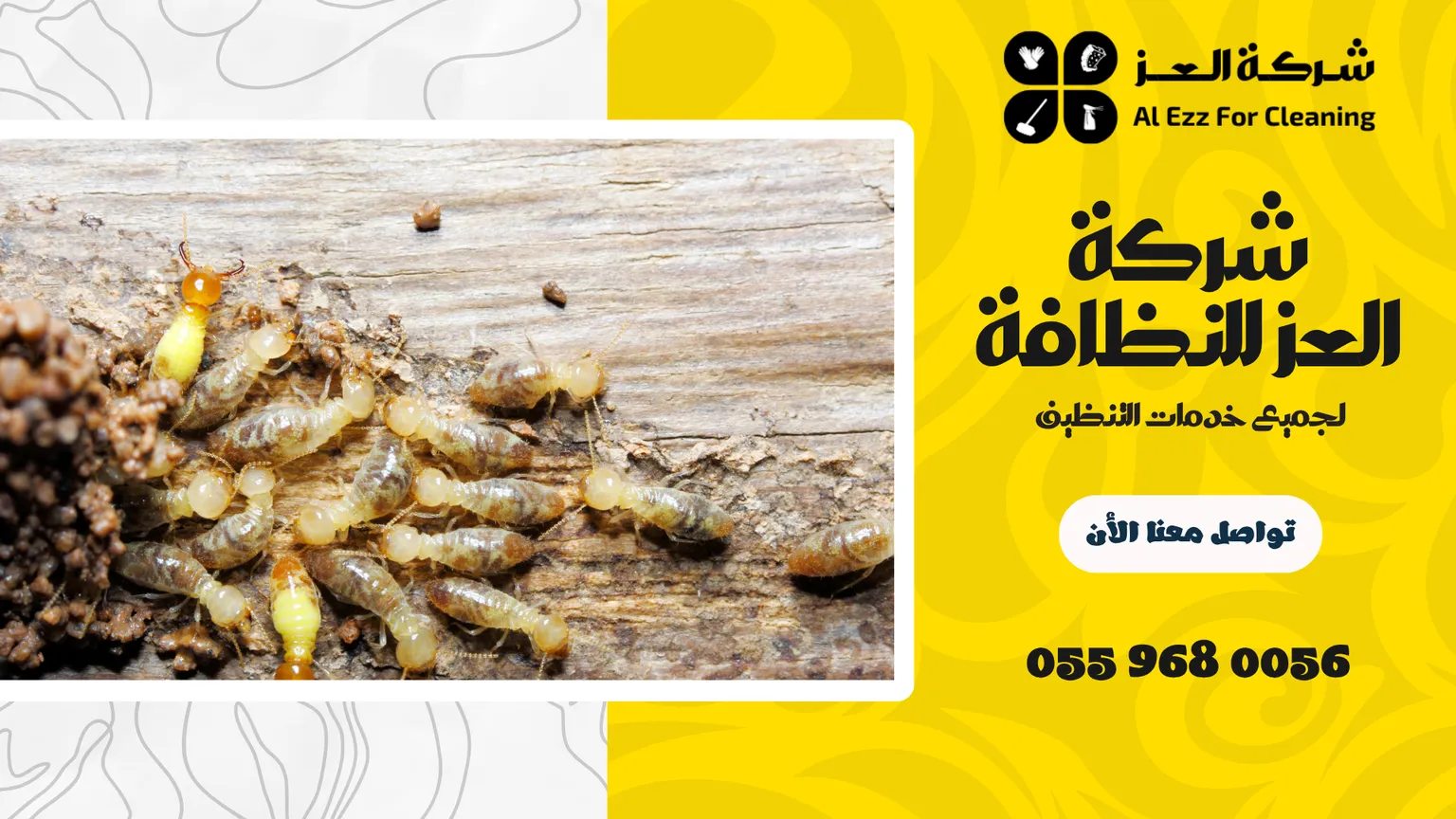 شركة مكافحة الرمة في العين