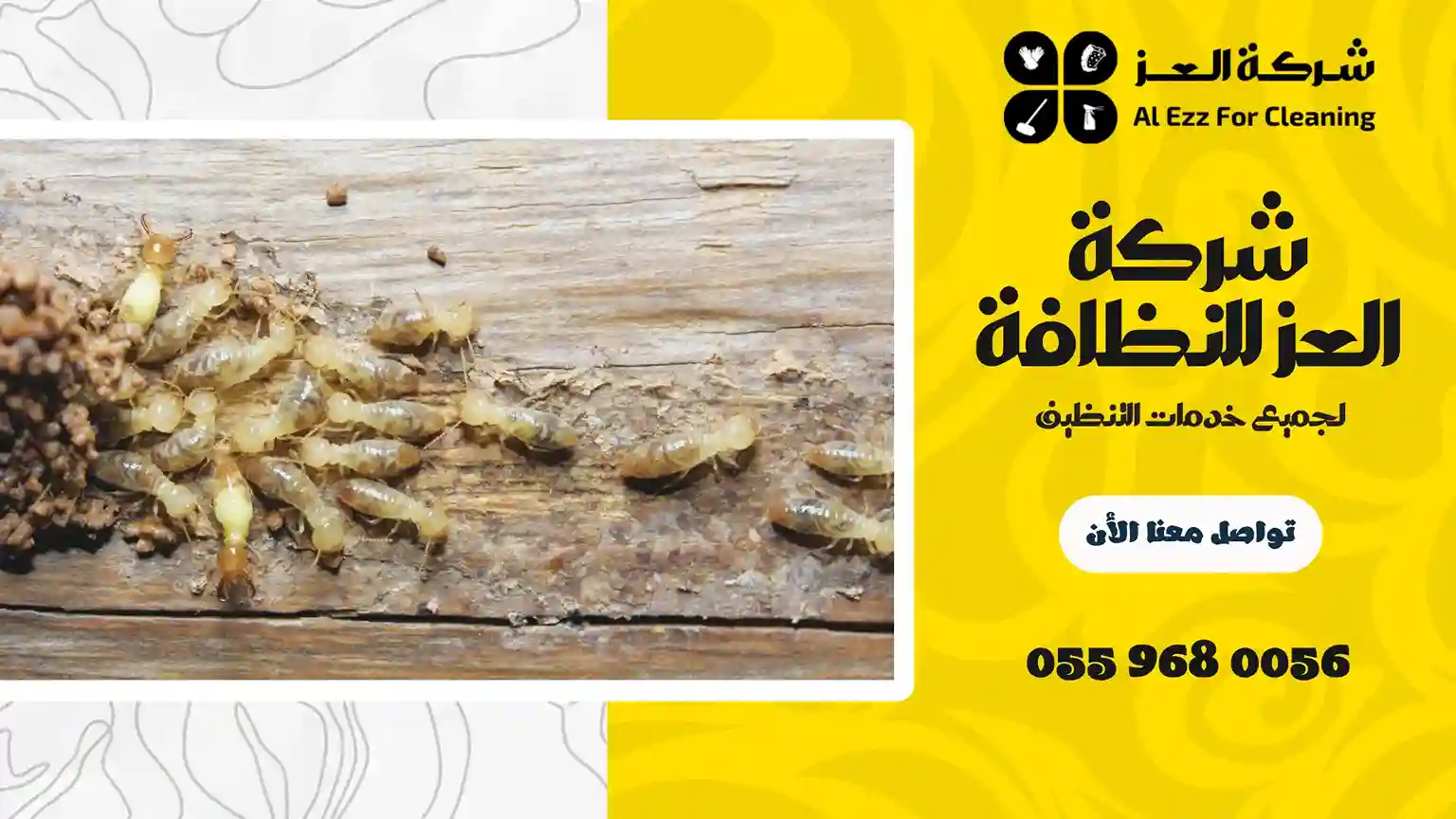 شركة مكافحة الرمة في عجمان