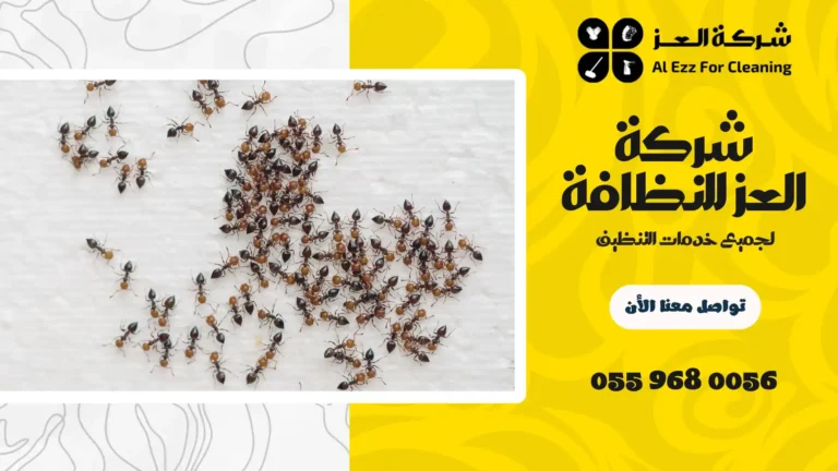 شركة مكافحة حشرات في أبوظبي