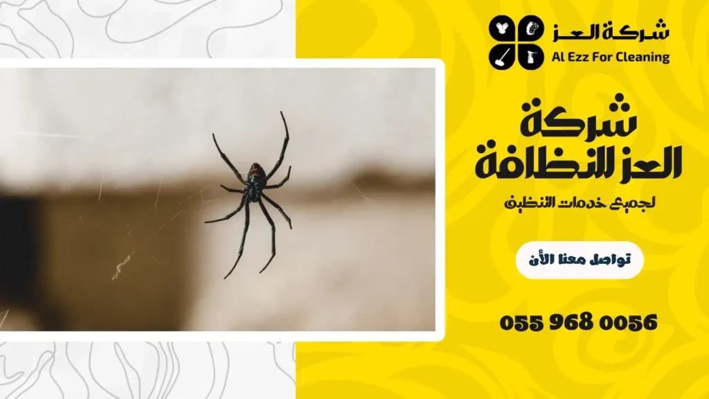 شركة مكافحة حشرات في أبوظبي معتمدة