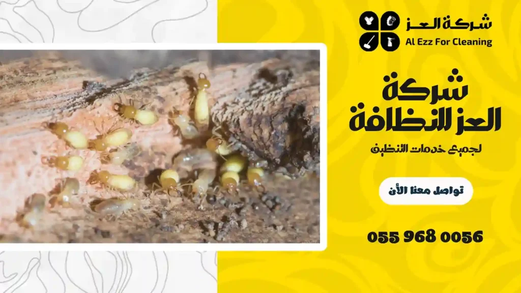 شركة مكافحة سوس الخشب في عجمان