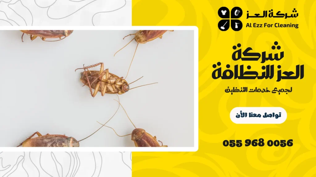 شركة مكافحة صراصير الحمامات في عجمان
