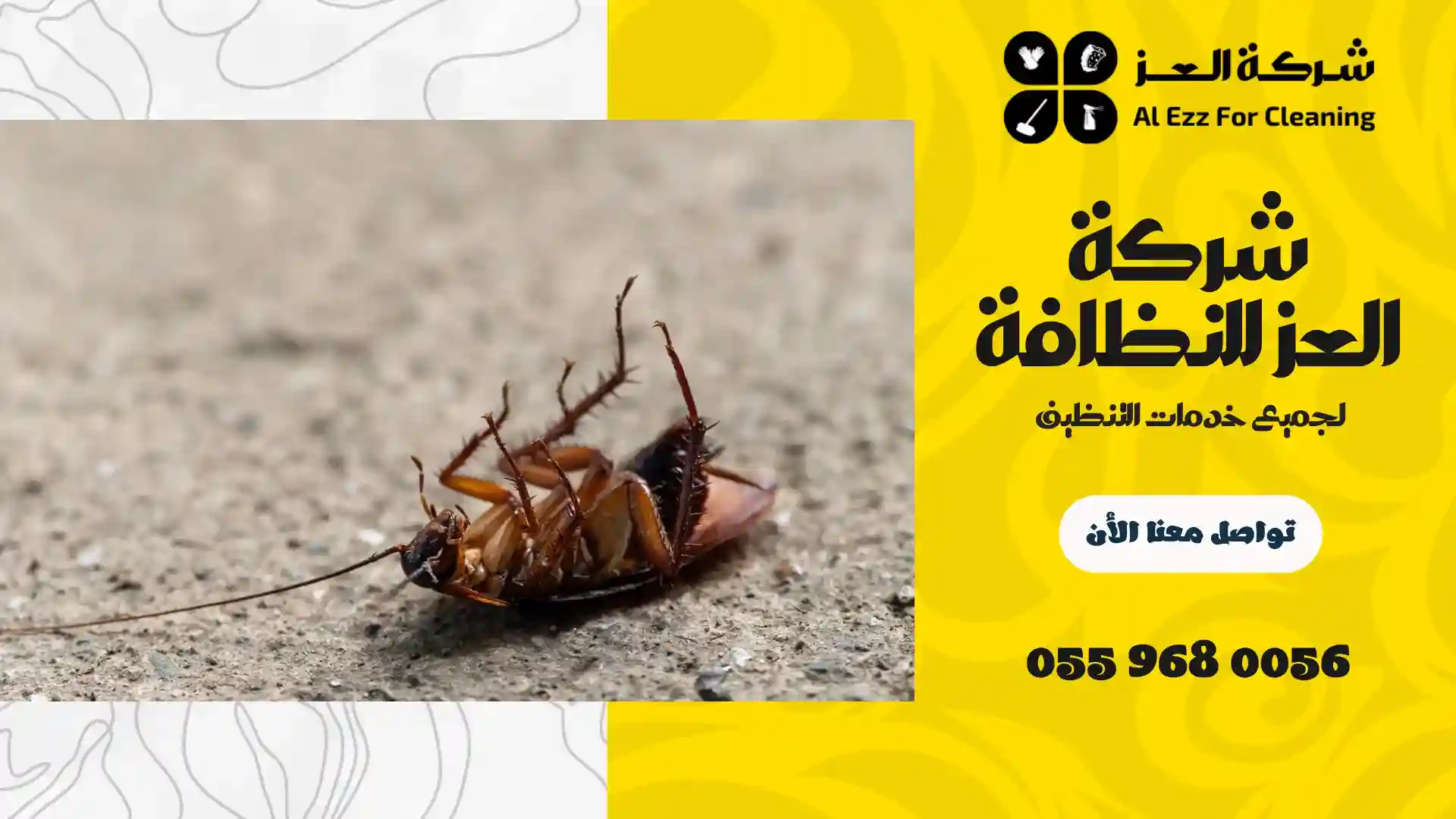 مكافحة الصراصير