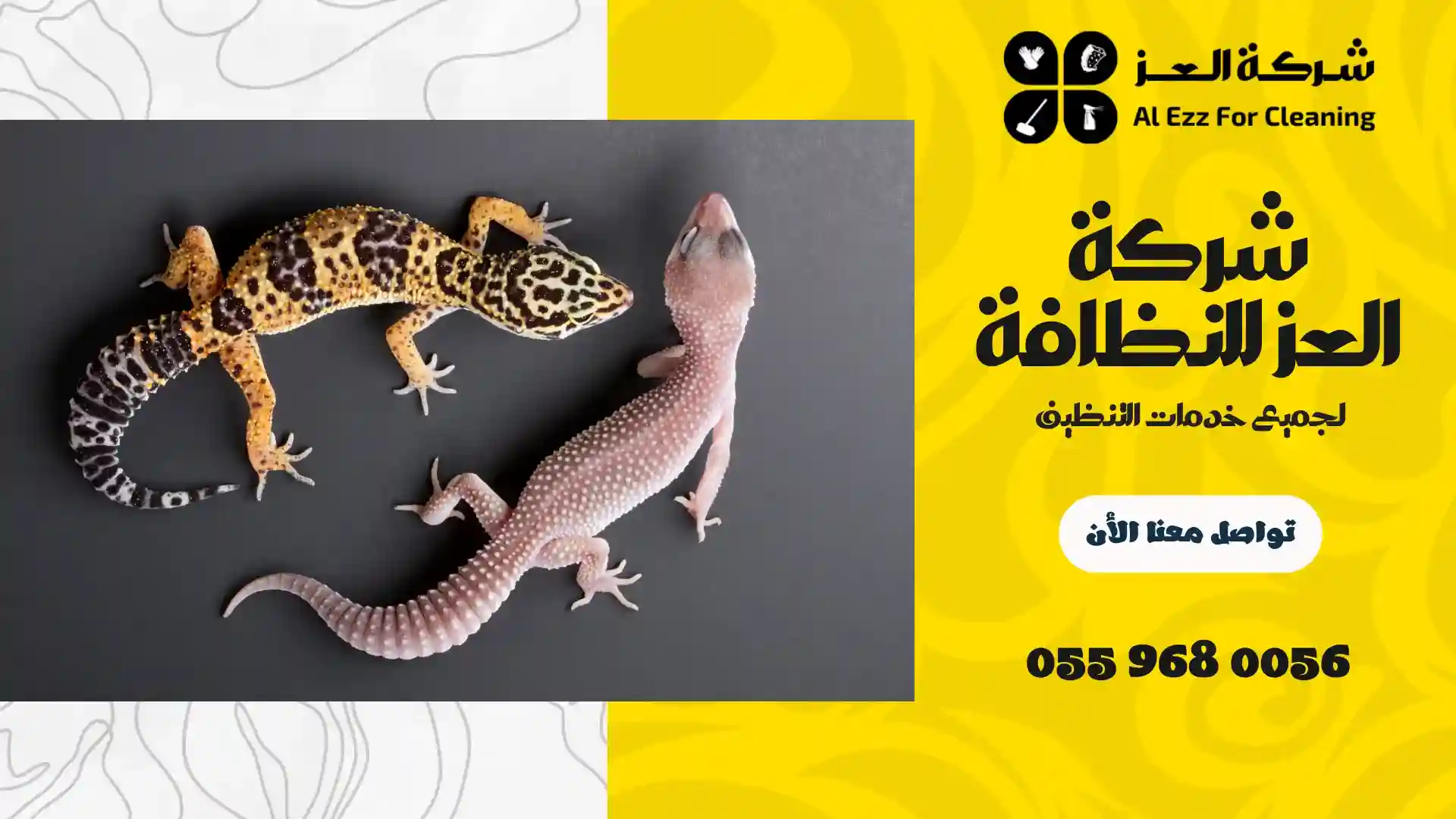 مكافحة الوزغ
