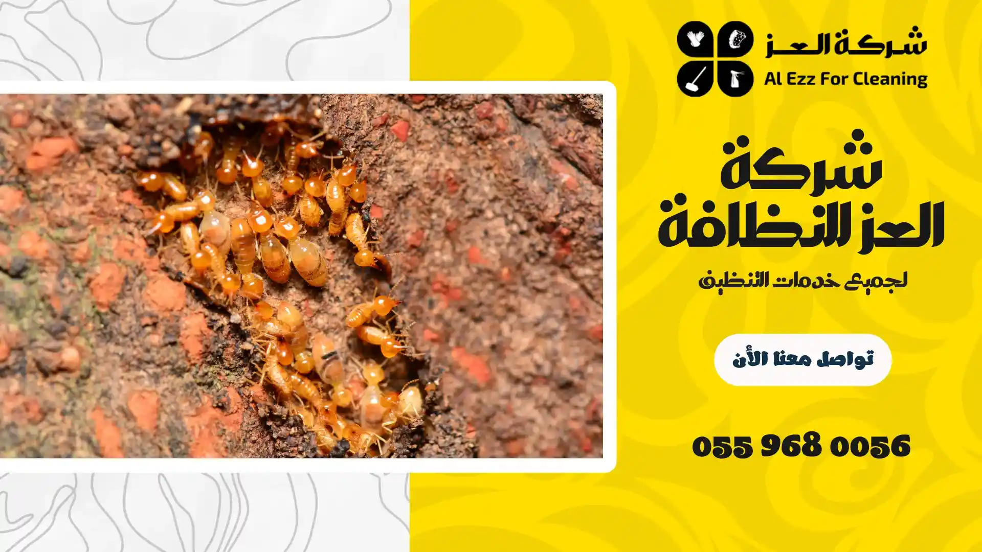 ارخص شركة مكافحة الرمة في الفجيرة