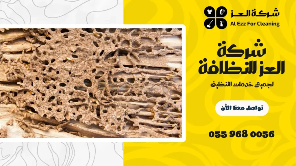 افضل شركة مكافحة الرمة في ام القيوين