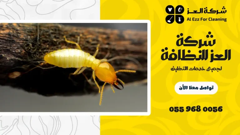 شركة مكافحة الرمة في أم القيوين