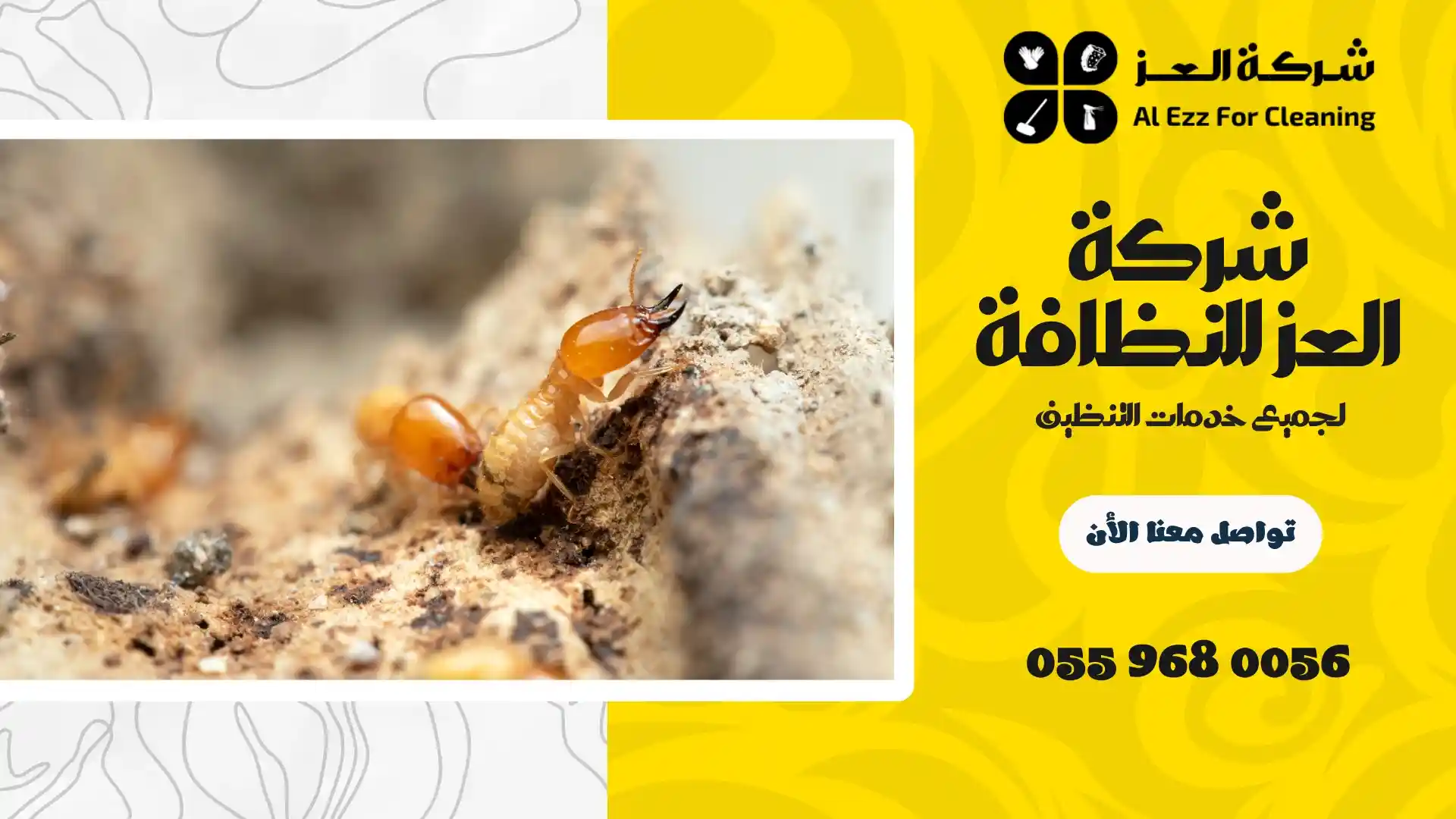 شركة مكافحة الرمة في الفجيرة