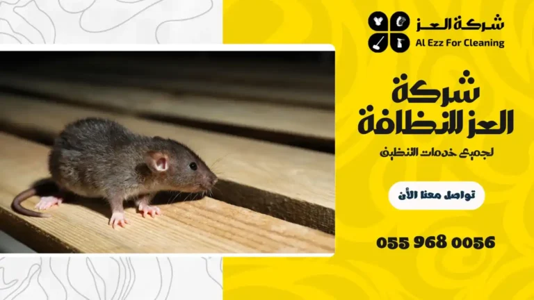 شركة مكافحة الفئران في ام القيوين