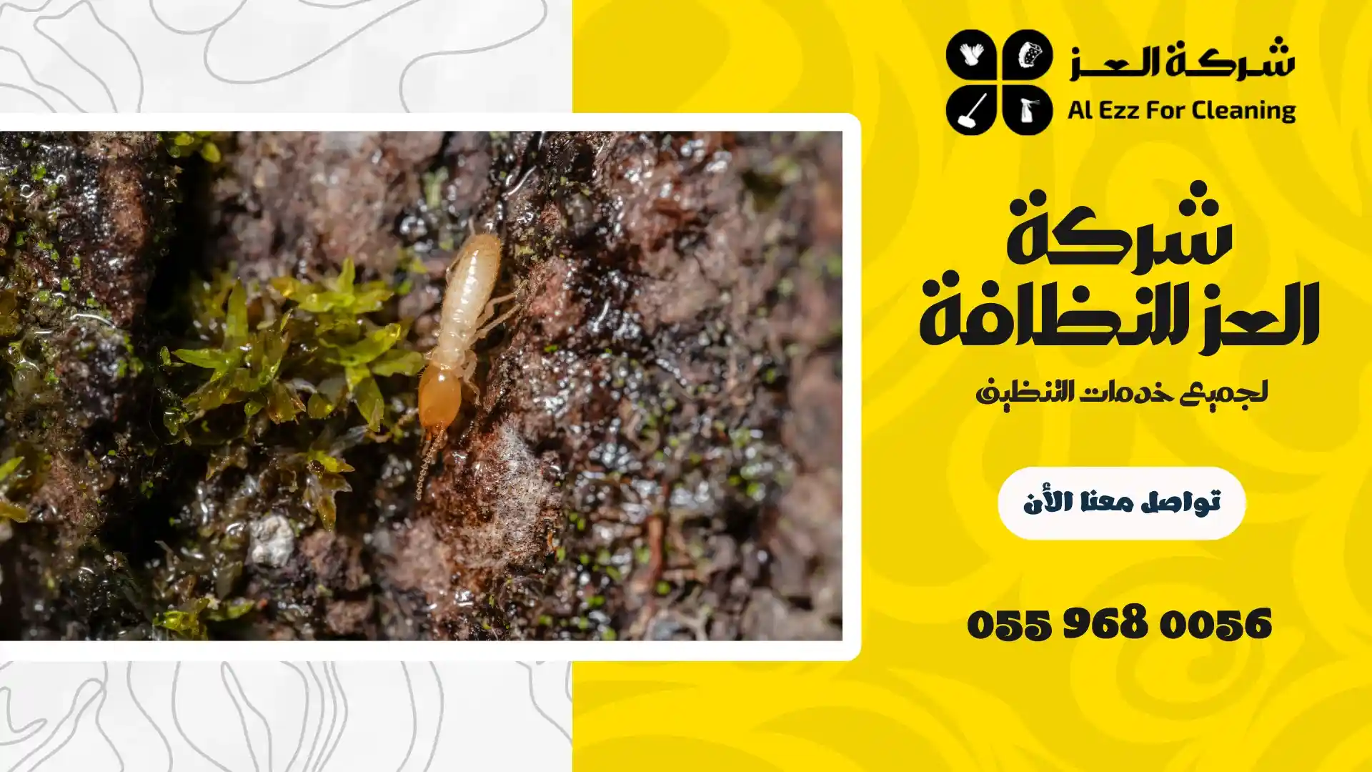 مكافحة الرمة في الفجيرة