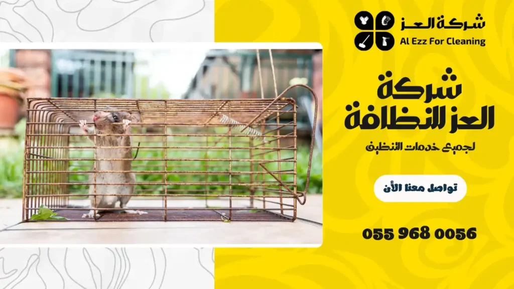ارخص شركة مكافحة الفئران في الفجيرة