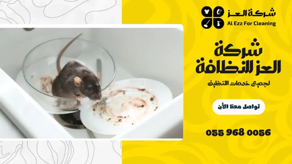 افضل شركة مكافحة الفئران في الفجيرة