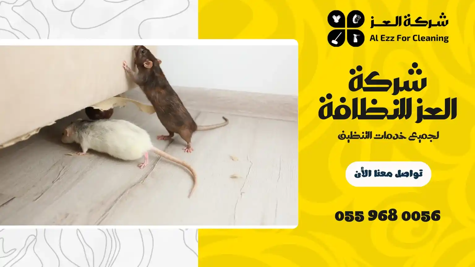 شركة مكافحة الفئران في الفجيرة