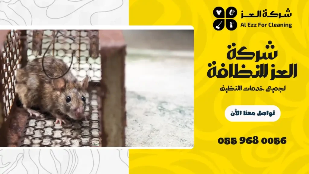 شركة مكافحة جرذان في الفجيرة