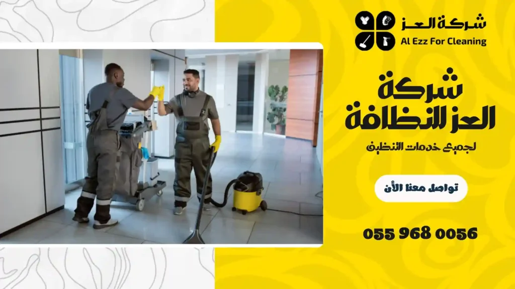 شركة تنظيف منازل في جزيرة السينية