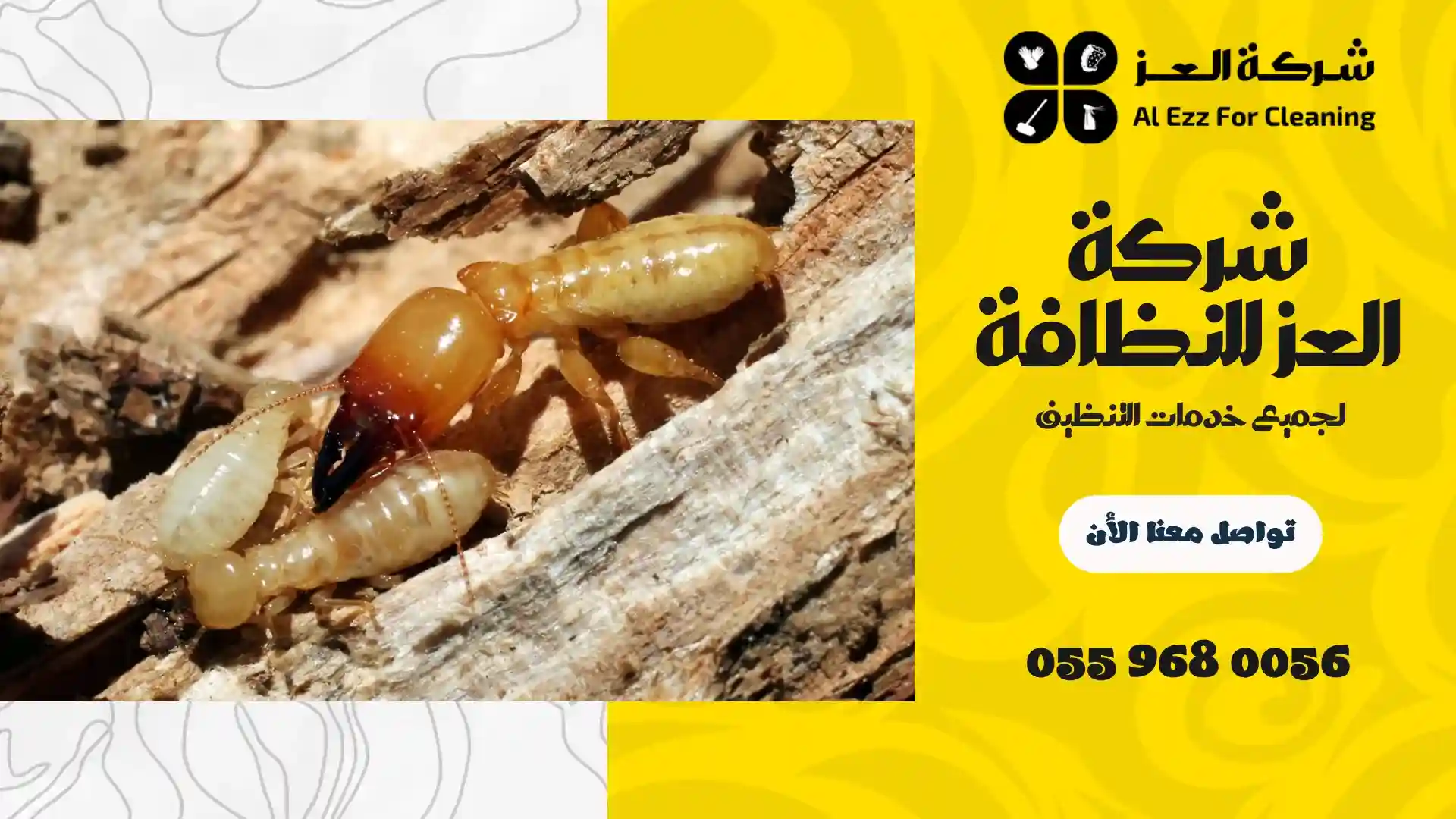 كيفية التخلص من الرمة في البيت