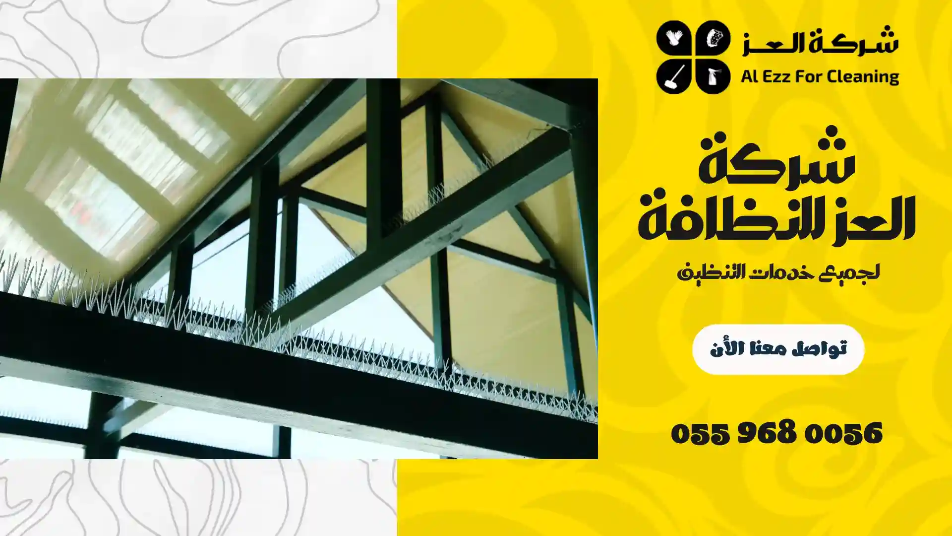 أرخص شركة مكافحة الحمام في دبي
