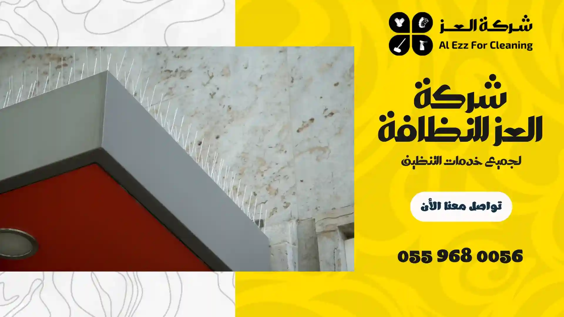 أفضل طرق مكافحة الحمام في دبي