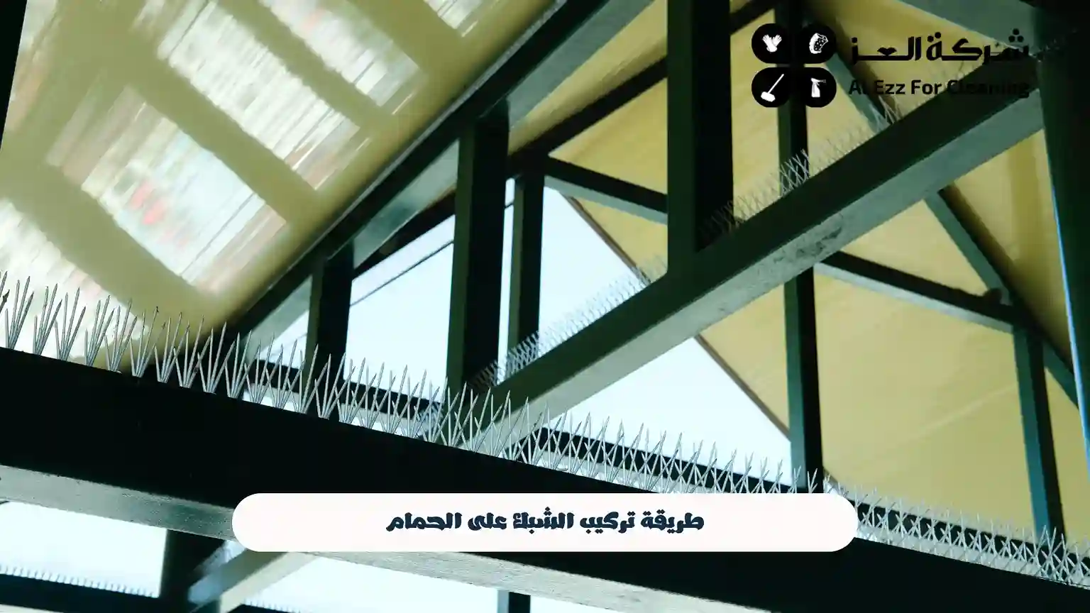 أنواع الشبك المستخدم لمنع الحمام