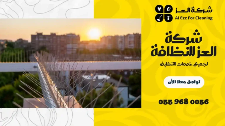 شركة مكافحة الحمام في دبي