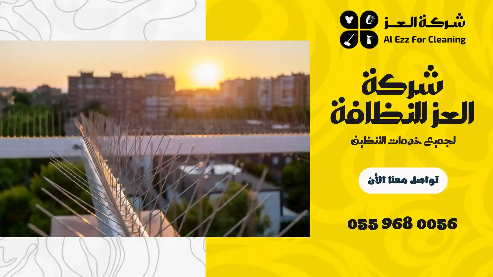 شركة مكافحة الحمام في دبي
