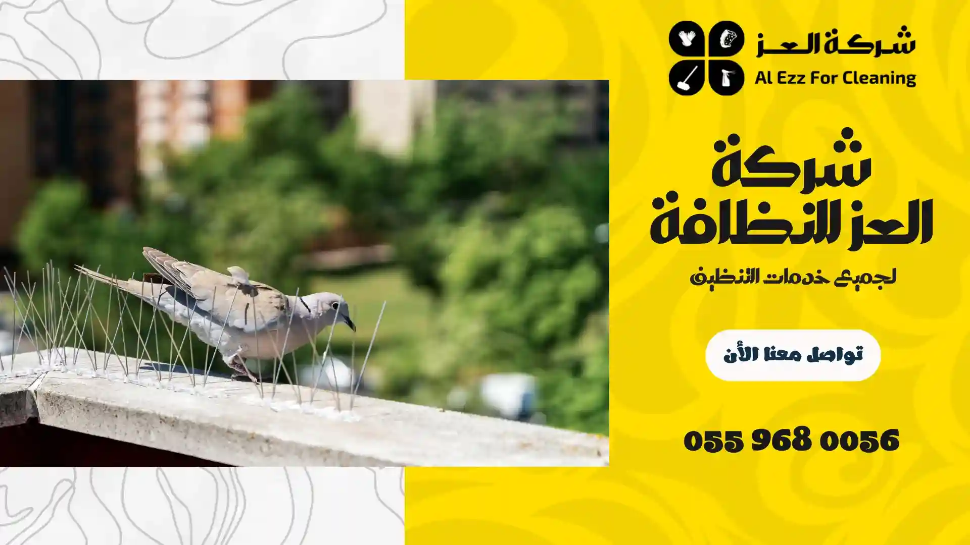 طرد الحمام من البلكونات