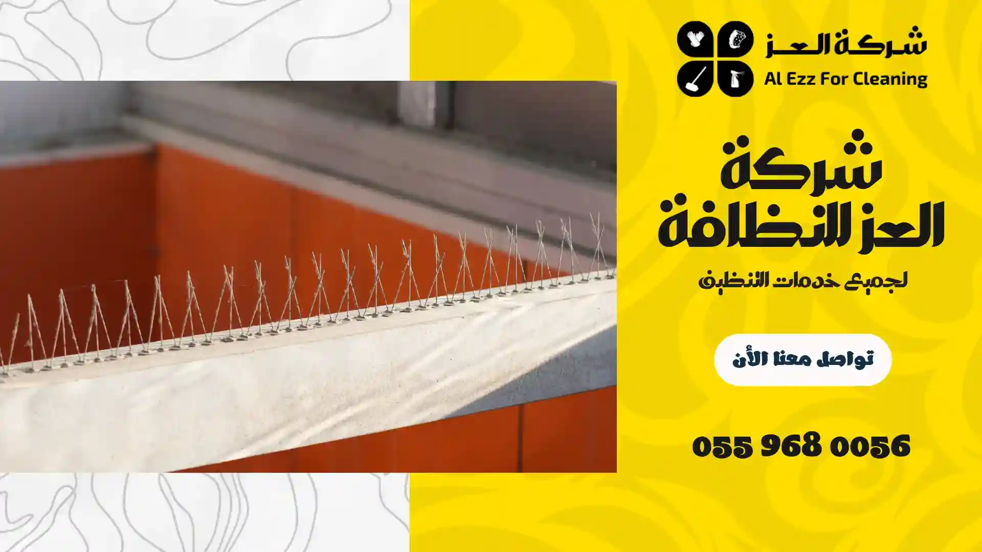 منع وقوف الحمام باستخدام الأشواك والأسلاك